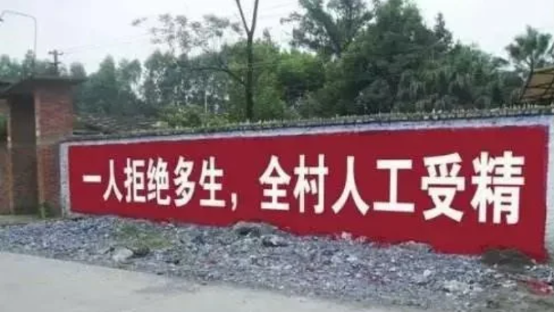 Wall slogan photograph 6